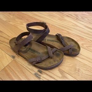 Birkenstock Daloa Sandal in Dark Brown